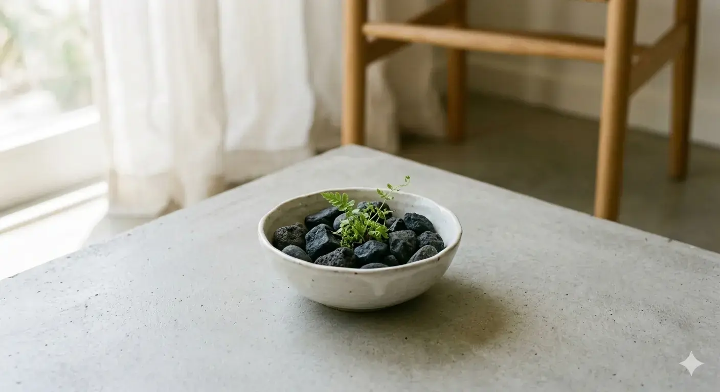 Minimalist ceramic bowl of dark basalt stones with green moss sprout on grey concrete surface
